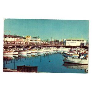 Fisherman Wharf San Francisco Vintage Postcard Color Photo Boats Tarantinos 50s